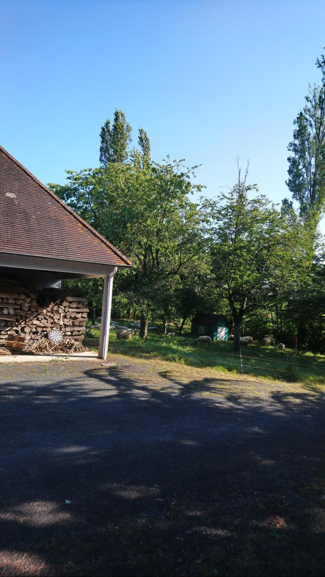 Les Allees Du Chateau Le Mazeau Екстер'єр фото